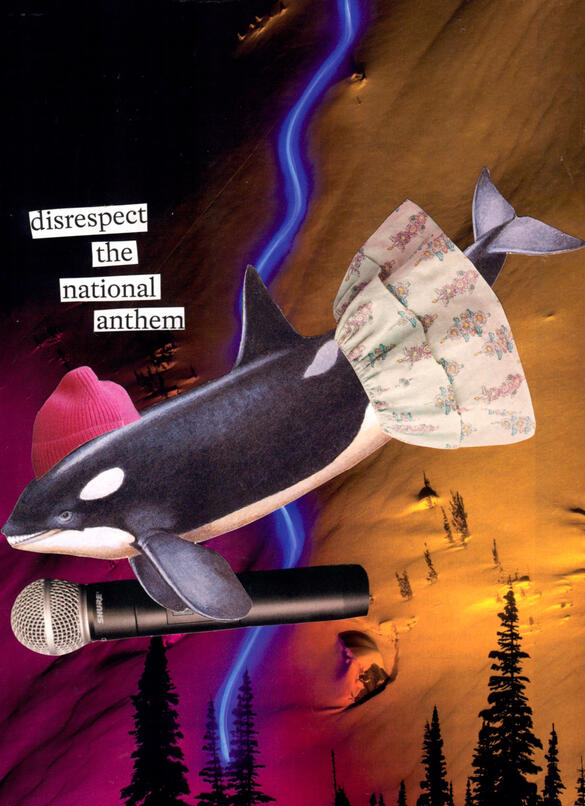 disrespect the national anthem
