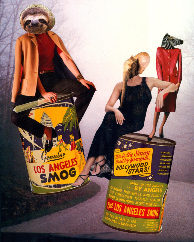 smoke em if you got em