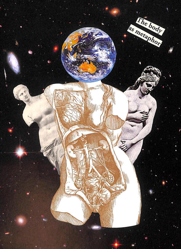 the body as metaphor